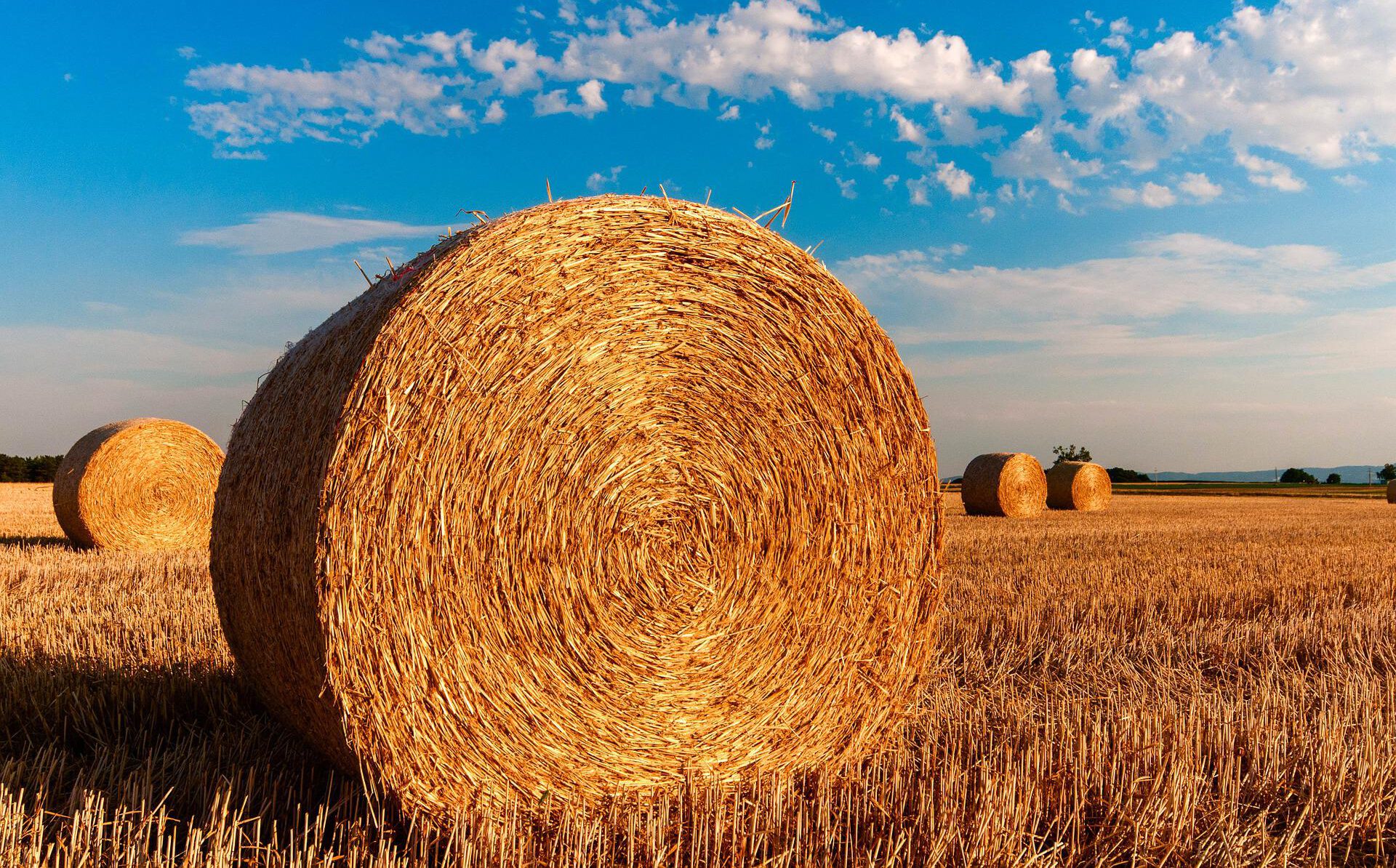 hay-bales-726976_1920