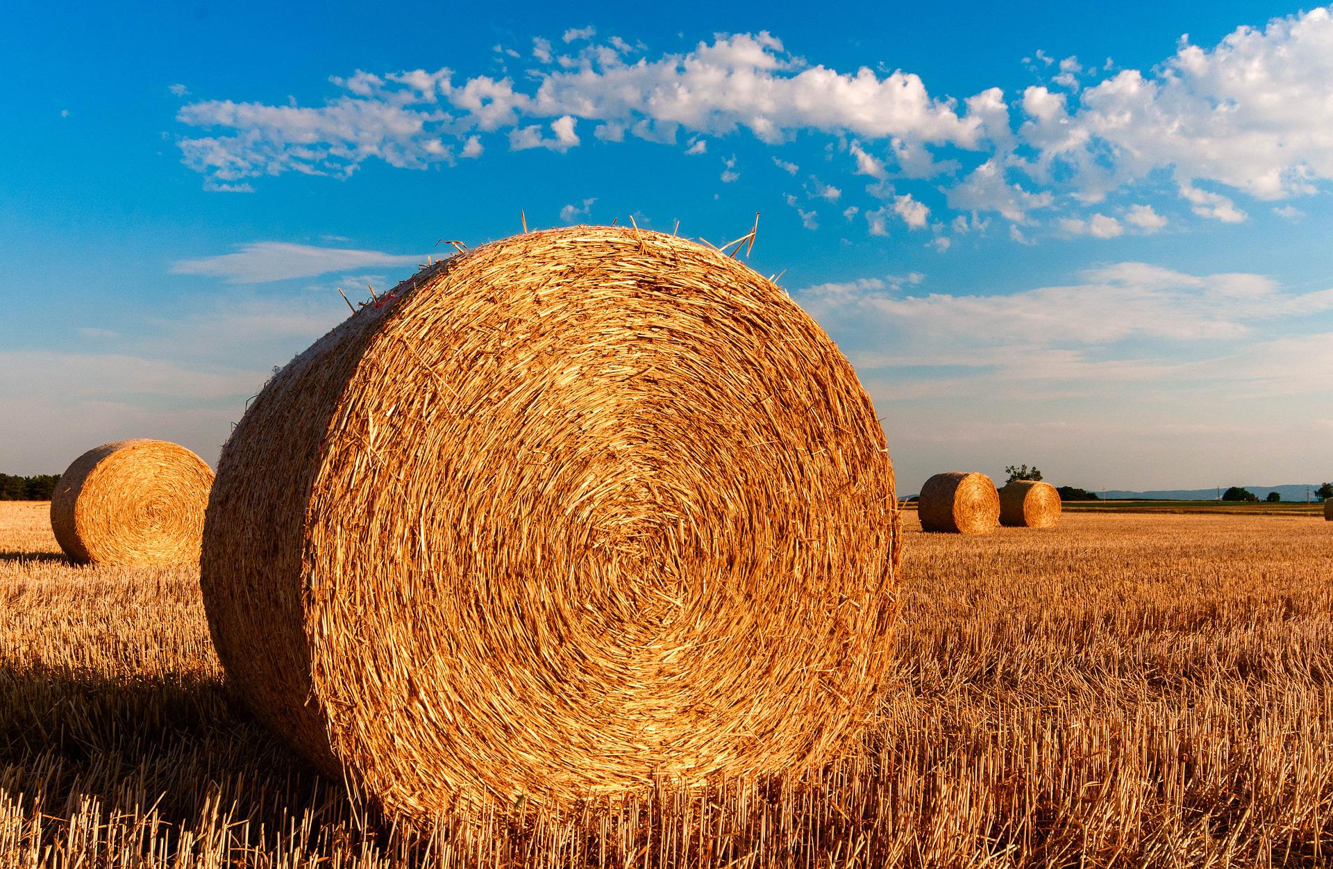 hay-bales-726976_1920